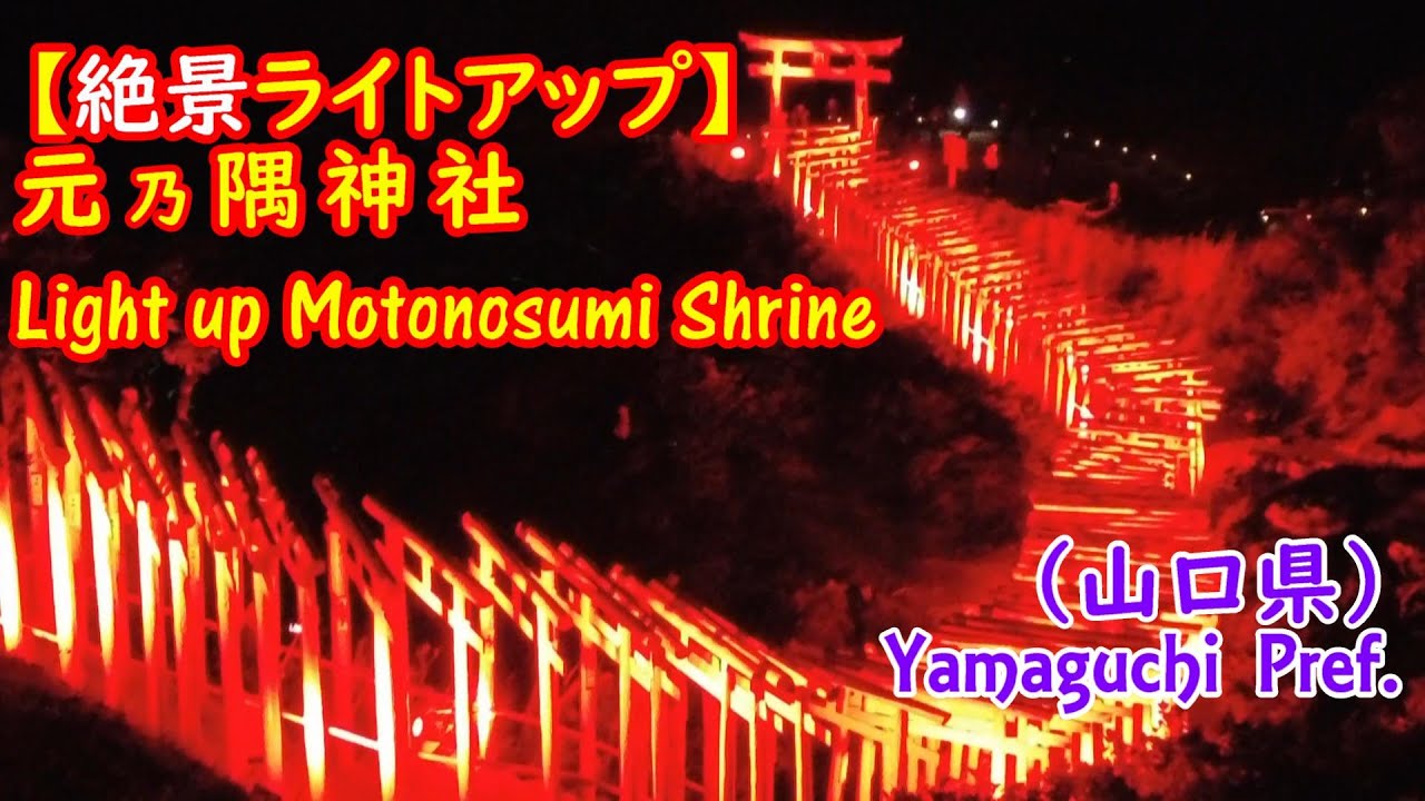 【絶景ライトアップ】元乃隅神社（山口県）Light up Motonosumi Shrine (Yamaguchi Pref.)