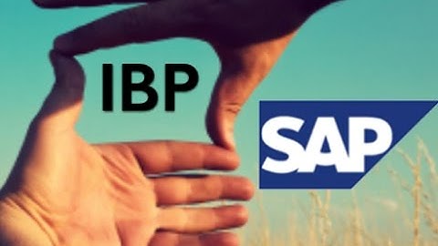 SAP IBP Training Demo Video | SAP IBP Online Course - SAP NETIZENS