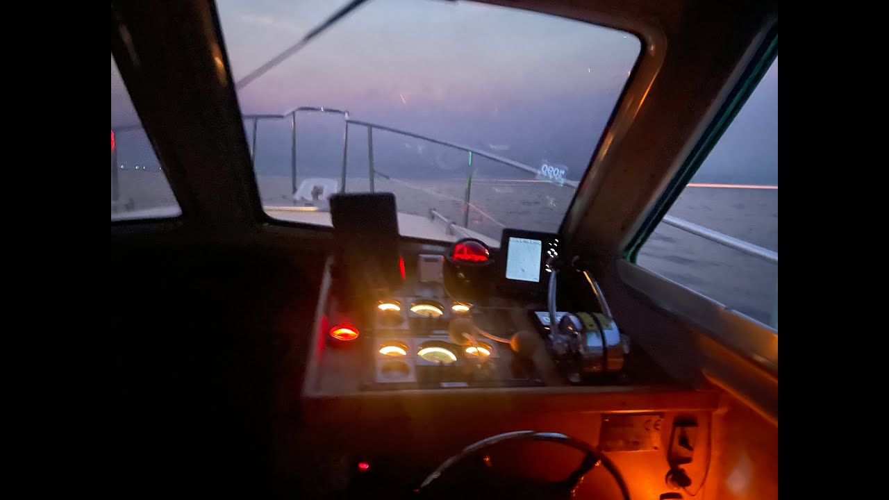 Delfines en Málaga con Sail and Fun