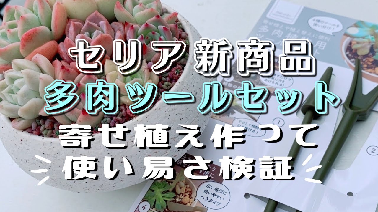 新商品】100均セリア『多肉植物ツールセット』を寄せ植え作って