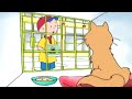 Caillou en de Kat | Caillou Nederlands - WildBrain