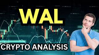 Walrus Crypto: Massive Storage News! Is WAL Token Ready to Pump?
