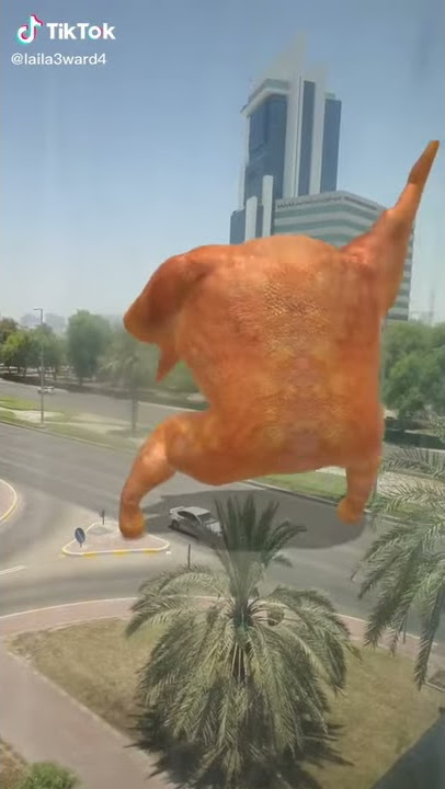 Ayam berjoget