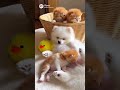 癒しよな〜