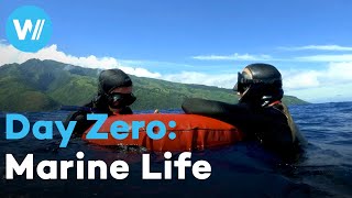 Climate change and how it endangers the rare intact marine life on paradise islands | Day Zero (1/3)