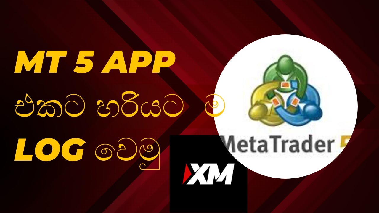 how to log in MT 5 app/forex trading sinhala/ how to trade inn xm ...