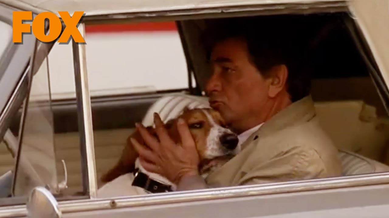 Il ritorno di Colombo dal 25 luglio su FOX Retro YouTube Il ritorno di Colombo dal 25 luglio su FOX Retro YouTube