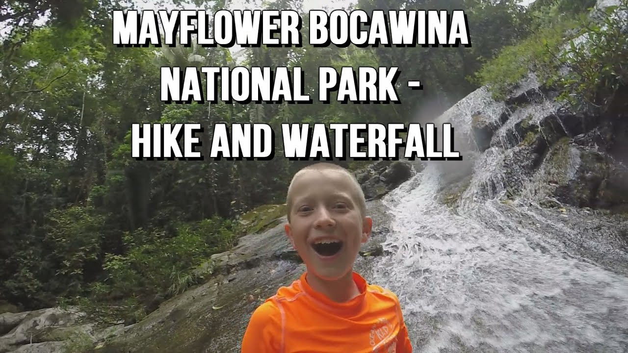 Mayflower Bocawina National Park - Hike and Waterfalls in Belize