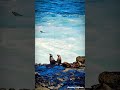 Ocean Puppy Vibe♥️🪼 #unique #moments #real #beautiful #wildlife #peaceful #amazing #cute #sealife