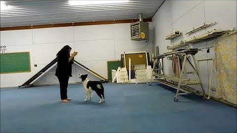 Harmony - Handling Leg - Delayed Reinforcement