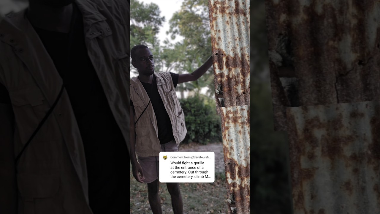 Guarda hahaha well i had to face a mutt 🤣😂😂 su YouTube Guarda hahaha well i had to face a mutt 🤣😂😂 su YouTube