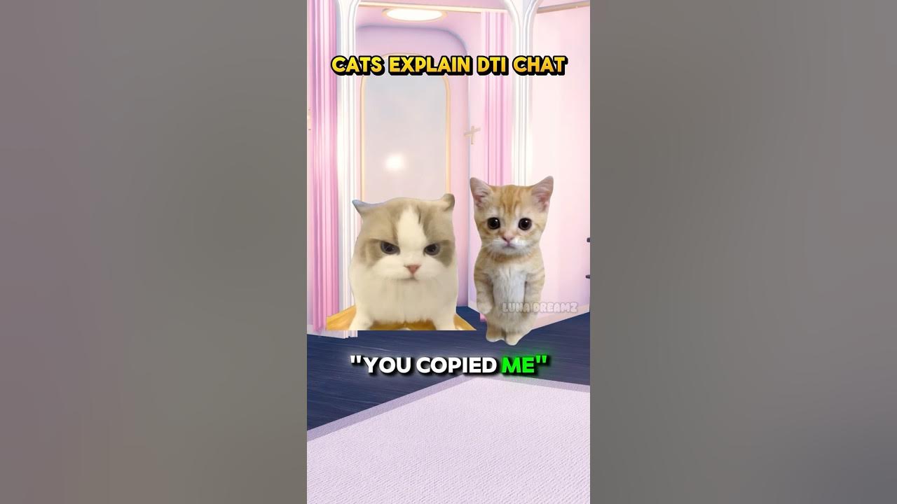 CATS EXPLAIN DRESS TO IMPRESS CHAT๐น #shorts #dti CATS EXPLAIN DRESS TO IMPRESS CHAT๐น #shorts #dti