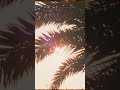 ASOUND "Summer Dreams" 2025.7.2 Release #SummerDreams #サマドリ #ASOUND #アサウンド