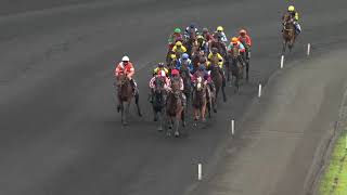 Vidéo de la course PMU ETRIER 4 ANS - PRIX DU PRESIDENT DE LA REPUBLIQUE