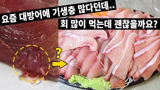 [팩트점검] 우리가 먹는 생선회에는 얼마나 많은 기생충이 있을까