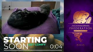 Daily Stream 3081 💜 MFW DST