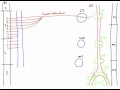 Autonomic Nerves of the Abdomen