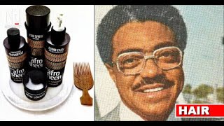 George Ellis Johnson Sr. Maker Of Afro Sheen And Ultra Sheen Profiles Of African American Success