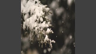 Jingle Bells - Xmas Shopping - 크리스마스 음악