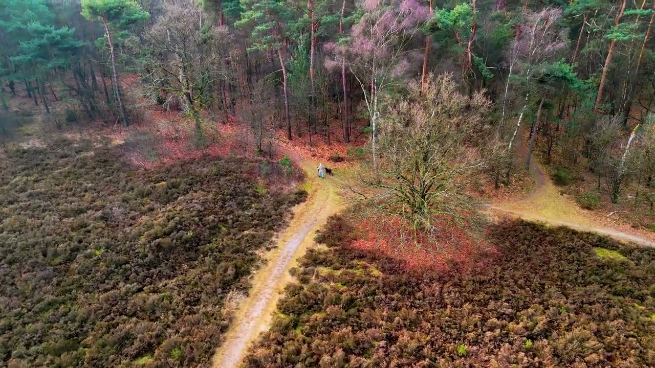 F08 Zelhem FloorBilly