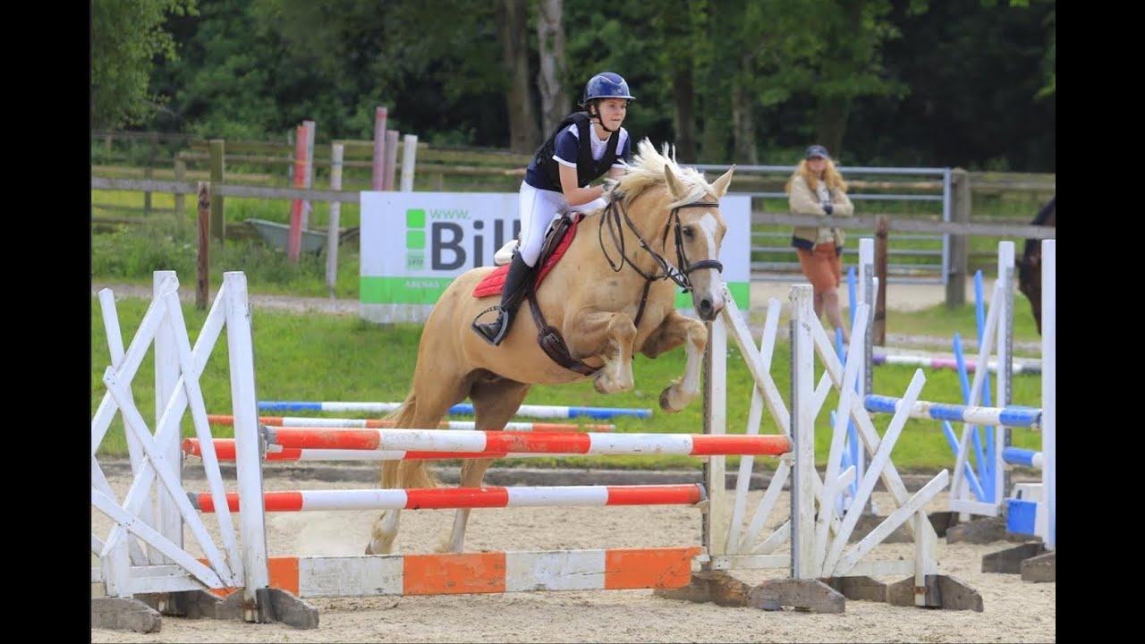 AQA GCSE HORSE RIDING GRADE 9