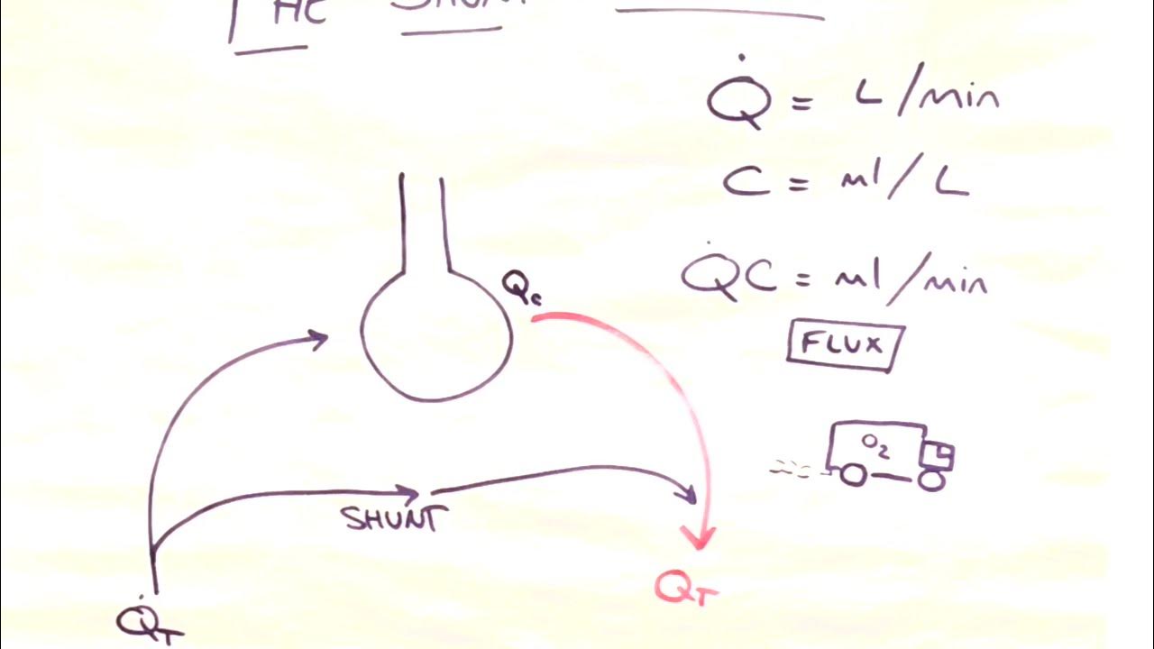 The Shunt Equation Explained YouTube