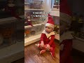 SINGLE DIGITS!! #elf #elfontheshelf #elfontheshelfideas... #Shorts #milkandcookiecakes