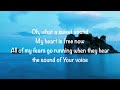 Josh Baldwin - Your Voice (with lyrics)(2020)