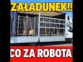 [VLOG #05] Tydzień dopiero się zaczął... a tu taki ładunek?! 🤯