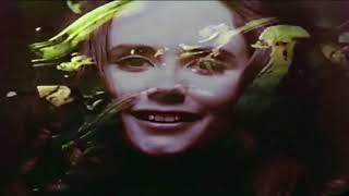 Guy Incognito - Feelings