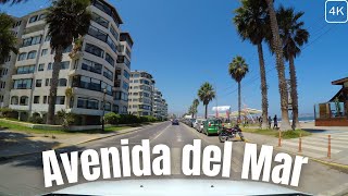 Avenida del Mar  Ciudad De La Serena  Chile 4K