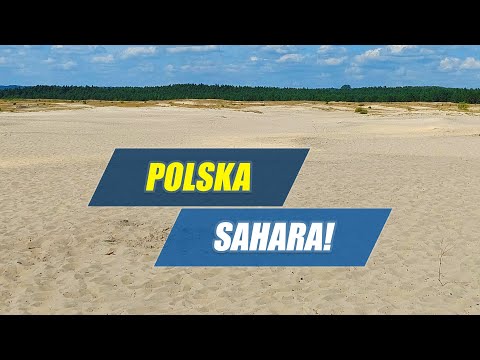 Wideo: Jak nazywa się pustynia w Ameryce Północnej?