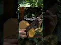 the wobbly string song #acousticguitar #fingerpicking #indie #psych #mellow #guitarist