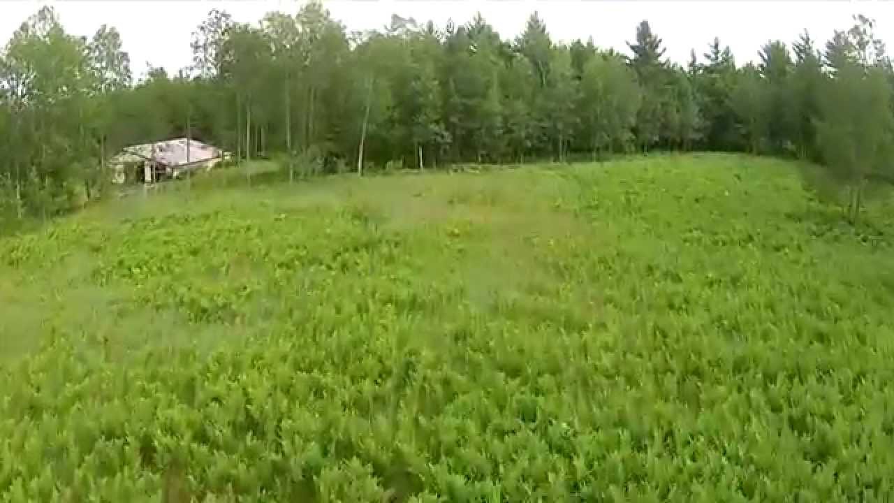 aerial silks 24 Acre Farm