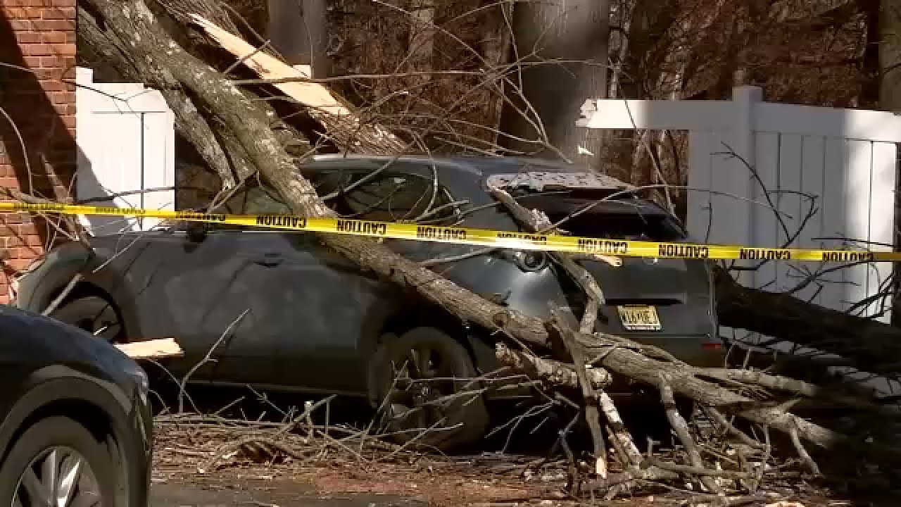 High winds down trees, power lines leading to outages across NJ - YouTube