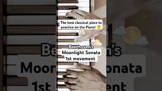 Beethoven - Moonlight Sonata 1st Movement 🌛✨😌 Piano Tutorial 🎹
