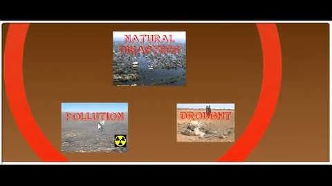 Human Migration: Push and Pull Factors