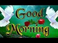 whatsapp status 🌷🌷good morning video. lovely song dhun.