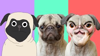 Cute Puppy Cartoon Compilation 2023!