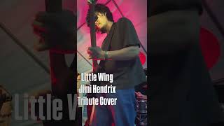 Jimi Hendrix - Little Wing cover #jimihendrix #guitarcover #littlewing #livemusic