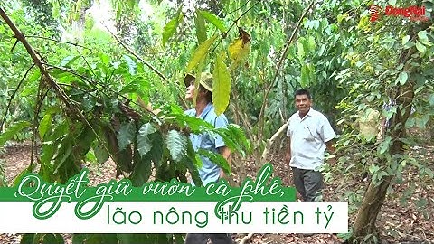 Tỉnh đồng nai có bao nhiêu thành phố năm 2024