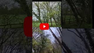 DJI Action 6 vs Insta360 Ace Pro 2 – REAL Footage 🔥 (No Color Grading) #test #dji #insta360acepro2