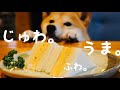 柴犬さんとだし巻きたまごサンドを作る。Omelette Sandwich