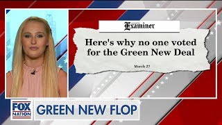 Tomi Lahren: Radical Dem Proposals Like 'Green New Disaster' Mean Trump, GOP Will 'Keep on Winning'