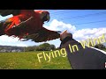 Flying Macaw In Wind