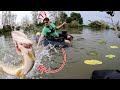 Ce BROCHET me SAUTE dessus !! (Carnage)