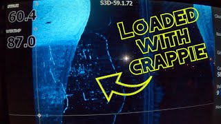 Side Scanning Crappie | Floating Docks | Lake of the Ozarks