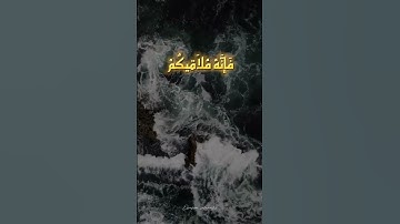 تلاوة #خاشعة # آيات الذكر الحكيم# للقارىء:عبد الباسط عبد الصمد#أستمع ولك الأجر
