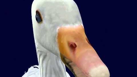 Goose Sparse Voxel Octree 2