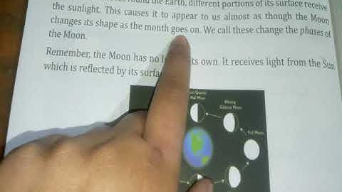 Bhartiyam Public School/Class-2/ E.V.S/Ch-19